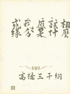 或我应该相信是缘分是什么歌
