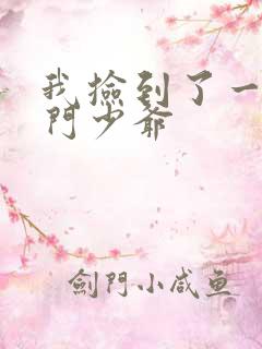 我捡到了一对豪门少爷