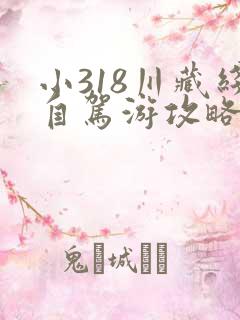 小318川藏线自驾游攻略