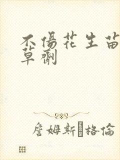 不伤花生苗的除草剂