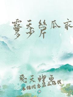 露天丝瓜亩产量多少斤