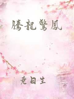 腾龙惊凤