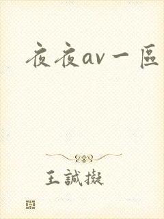 夜夜av一区