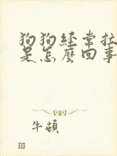 狗狗经常拉软便是怎么回事