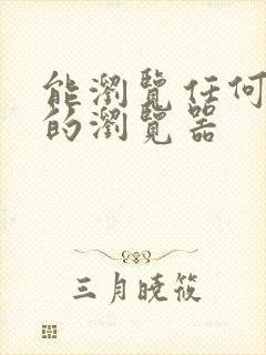 能浏览任何网站的浏览器