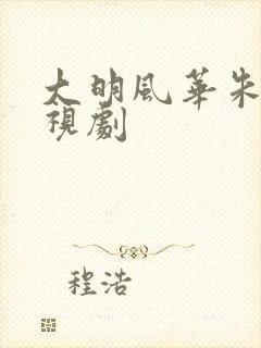 大明风华朱棣电视剧 大明风华朱棣电视剧