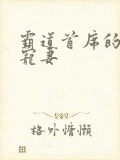霸道首席的隐婚宠妻