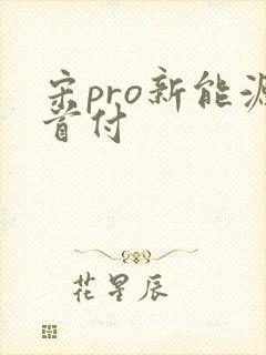 宋pro新能源首付
