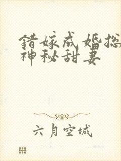 错嫁成婚总裁的神秘甜妻