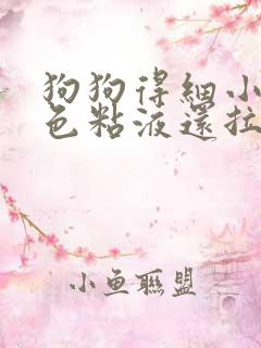 狗狗得细小吐白色粘液还拉稀