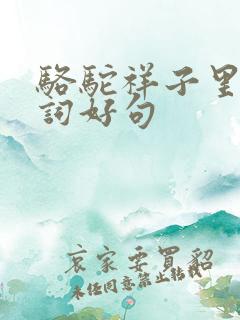 骆驼祥子里的好词好句