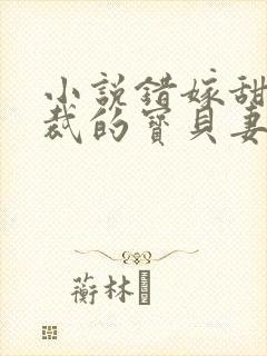 小说错嫁甜婚总裁的宝贝妻
