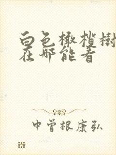 白色橄榄树小说在哪能看