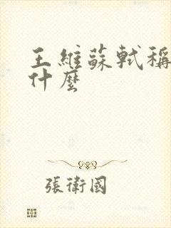 王维苏轼称赞他什么