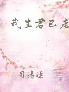 我生君已老小说