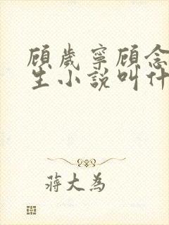 顾岁宁顾念安重生小说叫什么