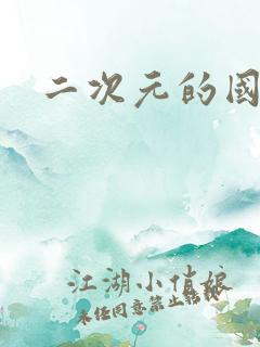 二次元的国漫 二次元的国漫