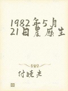 1982年5月21日农历生辰八字
