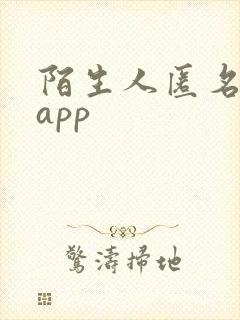 陌生人匿名聊天app