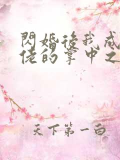 闪婚后我成了大佬的掌中之物短剧免费