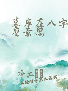 墓库在八字中什么意思