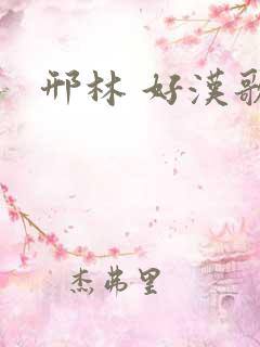 邢林 好汉歌