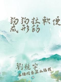 狗狗拉软便但是成形的