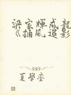 梁家辉成龙新片《捕风追影》在线观看