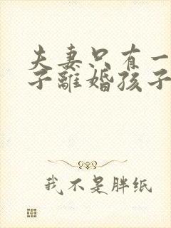夫妻只有一个孩子离婚孩子该归谁