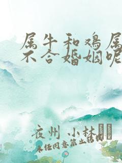 属牛和鸡属相合不合婚姻呢