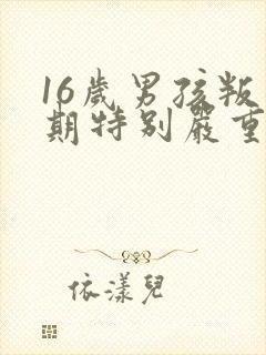 16岁男孩叛逆期特别严重怎么办