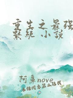 重生之最强帝王系统 小说