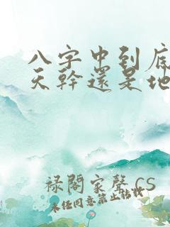 八字中到底是重天干还是地支