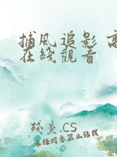 捕风追影 高清在线观看
