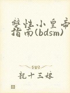 双性小皇帝调教指南(bdsm)