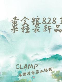 黄金粮828玉米种最新品种介绍