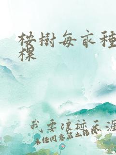 桉树每亩种多少棵