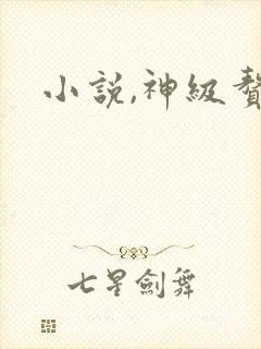 小说,神级赘婿