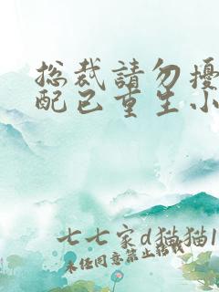 总裁请勿扰,原配已重生小说结局