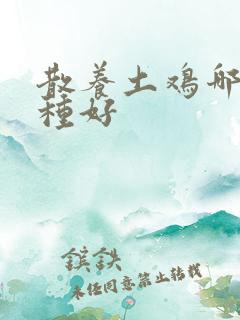 散养土鸡哪个品种好
