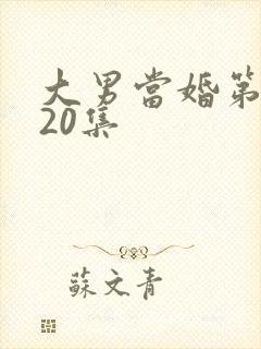 大男当婚第二部20集