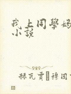 我上同学妈妈的小说