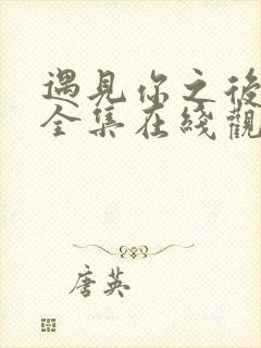 遇见你之后韩剧全集在线观看