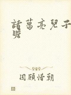 诸葛亮儿子诸葛瞻