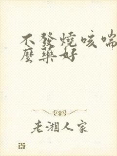 不发烧咳喘吃什么药好