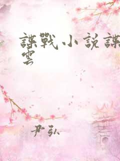 谍战小说谍影风云