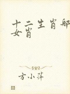 十二生肖哪些是女肖