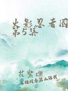 火影忍者国语版第5集