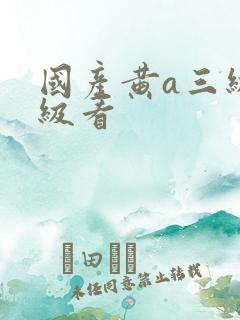 国产黄a三级三级看