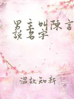 男主叫陈言的小说名字